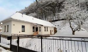 SabinovRodinná chata v rekreačnej oblasti DRIENICA的雪覆盖的房屋,有栅栏