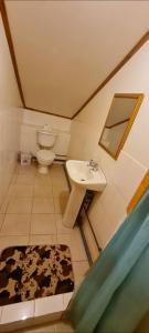 威廉斯港Hostal Beagle的一间带水槽和卫生间的浴室