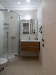 第比利斯Apartment in Tbilisi “Green Budapest “的带淋浴和盥洗盆的浴室