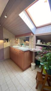 PrésillyChambre dans Maison Campagnarde的一间带两个水槽和天窗的浴室