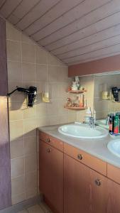 PrésillyChambre dans Maison Campagnarde的浴室设有2个水槽和镜子