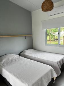 科洛尼亚-德尔萨克拉门托Complejo Las Palmeras的带窗户的客房内的两张床