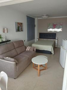 艾姆布里亚布拉瓦CLUB NAUTIC 3的客厅配有沙发和1张床