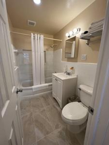 圣徒皮特海滩Beachside Resort Motel的浴室配有卫生间、盥洗盆和淋浴。