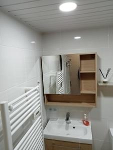 艾姆布里亚布拉瓦CLUB NAUTIC 3的一间带水槽和镜子的浴室
