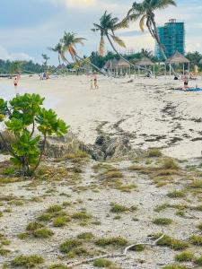 古雷德胡La Isla Tropica的一片棕榈树的沙滩,那里有人