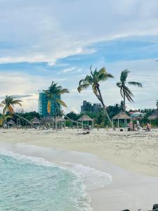古雷德胡La Isla Tropica的棕榈树和海洋的沙滩