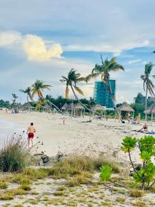 古雷德胡La Isla Tropica的棕榈树海滩上散步的人
