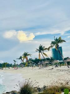 古雷德胡La Isla Tropica的棕榈树海滩和高楼