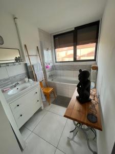 伊苏瓦尔L’appartement du bonheur的小型浴室设有水槽和浴缸。