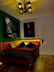 卡尔斯鲁厄Touchdown21的一间卧室配有一张带绿色墙壁和吊灯的床。