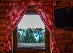 科帕奥尼克Apartment Snow Garden的小屋的窗户享有山景