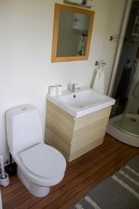 法伦Scoutstugan & Bagarstugan的浴室配有卫生间、盥洗盆和淋浴。