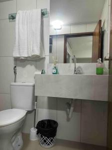 蒙蒂斯克拉鲁斯Apto 16 lindo e confortável的一间带水槽、卫生间和镜子的浴室