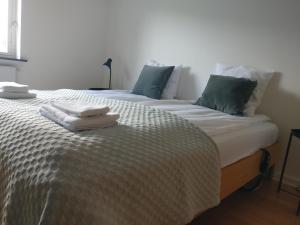米泽尔法特Villa Hassel的一间卧室配有两张带毛巾的床