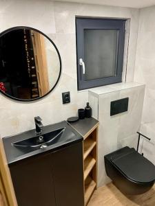 耶塞尼克Challet44的一间带水槽、卫生间和镜子的浴室