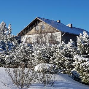温特贝格Pension Hubertus的一座被雪覆盖的房屋,里面布满了树木和灌木
