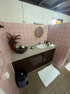 VaitoarePension Hibiscus Taha'a的粉红色的瓷砖浴室设有水槽和镜子