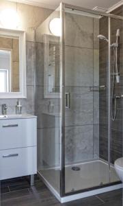 斯瓦讷克Bornholm Apartments的带淋浴的浴室和玻璃门