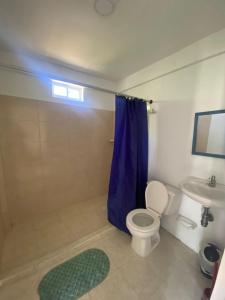 FranshuaCasa Nativa DUDA´S的浴室设有卫生间和蓝色的浴帘。