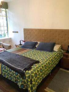 圣地亚哥Espacio Verde en Providencia的一间卧室配有一张带蓝色枕头的大床