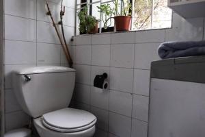 圣地亚哥Espacio Verde en Providencia的一间带卫生间的浴室和一个带植物的窗户