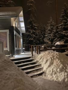 SappeeVilla Sappee的房子楼梯上的一堆积雪