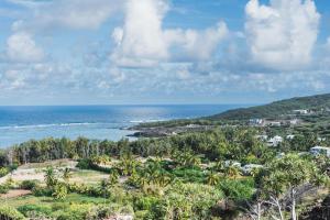 Rodrigues IslandLe Marin, Rodrigues Island的从树木茂密的山丘上欣赏海景