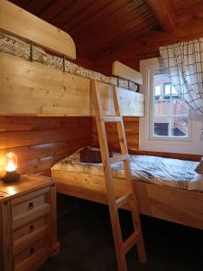 特兹西尼德299 Willow Lodge的一间卧室设有两张双层床和一扇窗户。