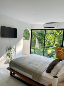 蓬塔雷纳斯Deluxe Loft 1 BDR con linda vista的一间卧室设有一张大床和一个大窗户