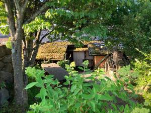 原村"八ヶ岳山麓の小さな家"的花园中带茅草屋顶的房子