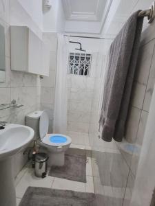 Kwabenyan2 bedrooms Apartment, Hillview of Accra的带淋浴、卫生间和盥洗盆的浴室