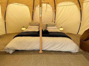 阿波罗湾Seacroft Estate的房间里的帐篷里的一张床位