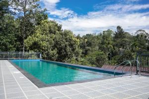 蒙纳Munnar Ice Queen Resorts的一个倒着树木的游泳池