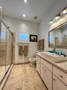 Lake AlfredThe Signature Orange Grove Suite的一间带水槽、卫生间和镜子的浴室