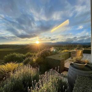 伦威克Luxury cottage with stunning vineyard views的从种有植物的花园欣赏日落美景