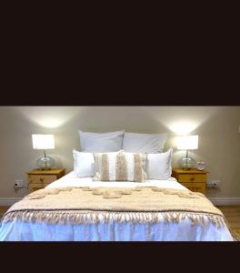 德班Millwood House的一间卧室配有一张大床和两盏灯