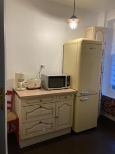 勒蒙多尔La Résidence 1的厨房配有微波炉和冰箱。