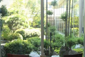 泉佐野關西機場美景花園飯店的一座建筑中树木和植物的花园