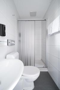 卢塞恩Hotel Goldener Stern - contactless check-in的白色的浴室设有卫生间和淋浴。