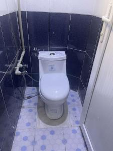 代胡克Zirka Apartments Duhok的浴室位于隔间内,设有白色卫生间。