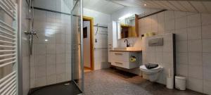梅劳Apartement Johannes的带淋浴和卫生间的浴室