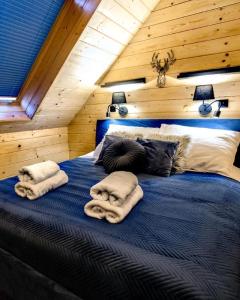 FalsztynChill and Rest Apartments的一间卧室配有蓝色的床和枕头