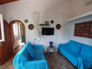 帕莱欧卡斯提撒Villa Stephanie的客厅配有蓝色的沙发和电视