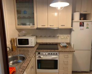 安道尔城Appartement Gipsa III - WIFI - PARKING PRIVÉ的一间带水槽和微波炉的小厨房