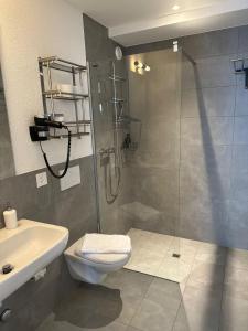 因特拉肯Aparthotel Krone - Self Check-In的带淋浴、卫生间和盥洗盆的浴室