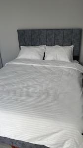 阿瓦诺斯6 şubat apartmanı的一张白色大床,配有白色床单和枕头