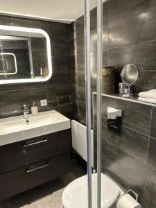 海牙B&B Ereprijs的一间带卫生间、水槽和镜子的浴室