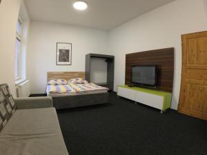 乌帕河畔斯沃博达Penzion SPORTINO的一间卧室配有一张床和一台平面电视