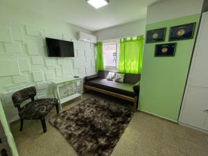 科尔多瓦Green Depto的带沙发和电视的小客厅